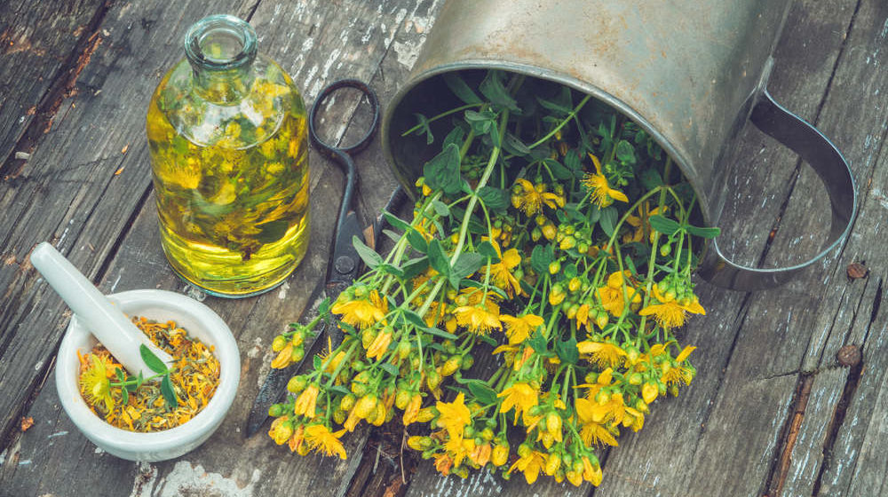 Gli Oli nel Massaggio Ayurvedico