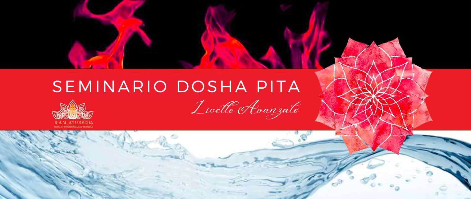 SEMINARIO DOSHA PITTA